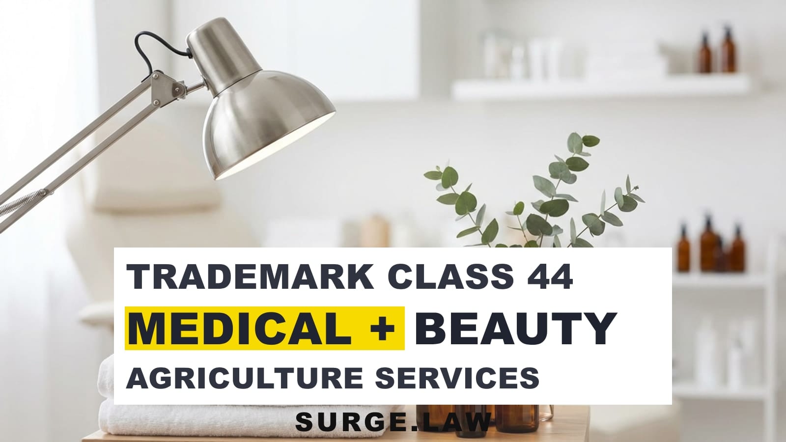 Clean treatment-room tools and skincare products representing trademark class 44 service businesses