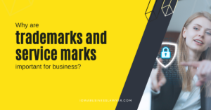 Why are service marks and trademarks important for business?